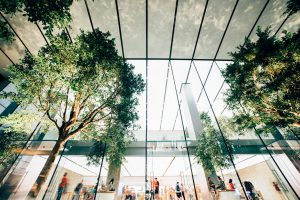 corporate wellness programme blog from Wellspace using image of glass building with people working inside