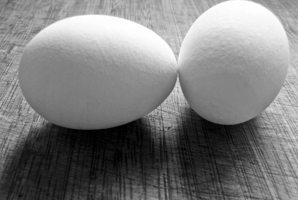 image of two eggs for blog on nutrition training by wellspace