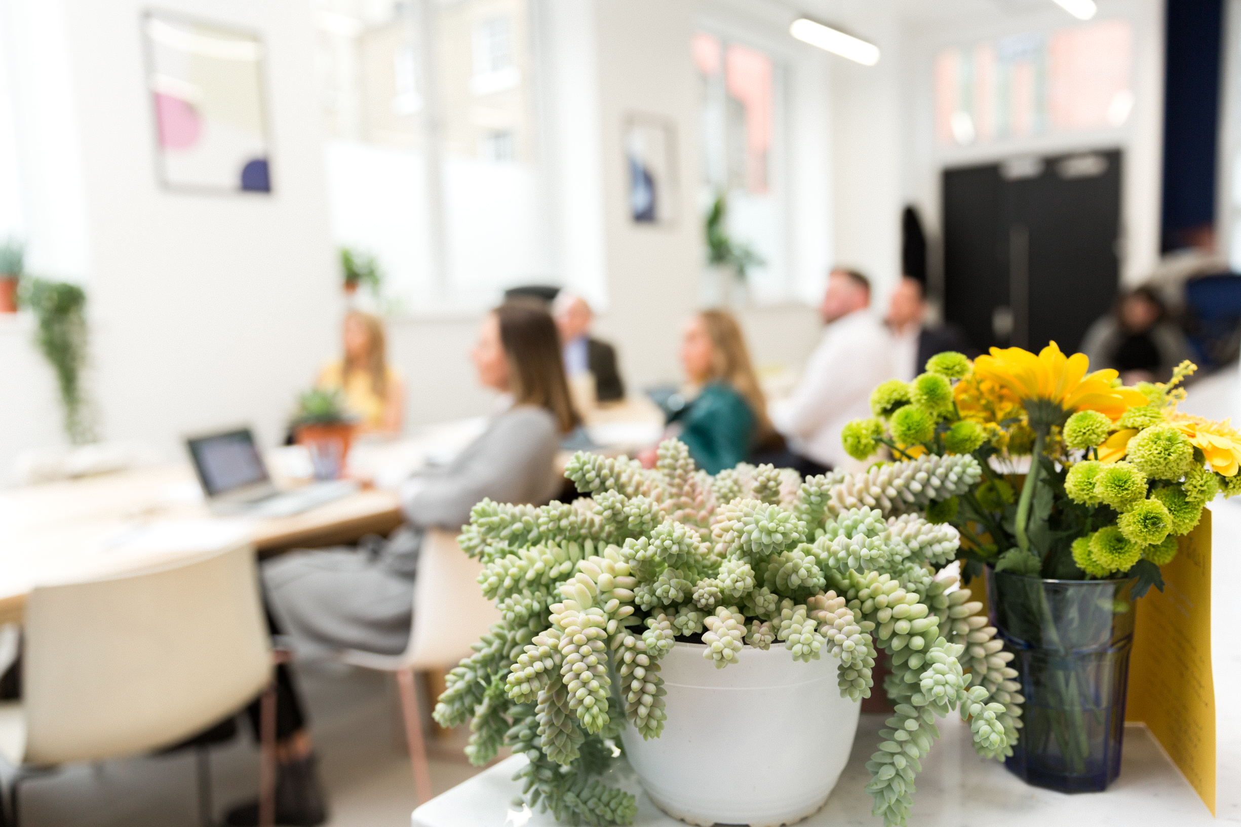 image of plants in an office for Wellspace Rewards page
