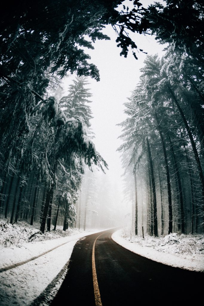 image of wintery road for wellspace blog on keeping your staff safe in winter 