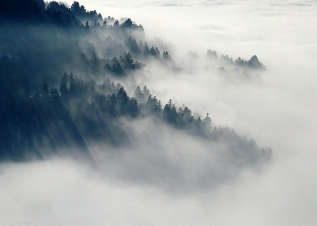 image of clouds over trees for blog by Wellspace on what is mindfulness