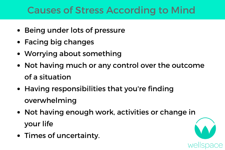 causes of stress image