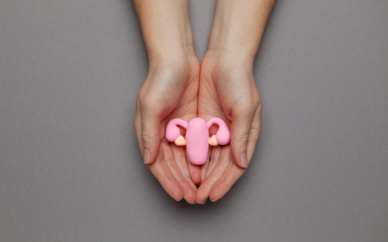 Person's hands holding mini plastic womb representing endometriosis.